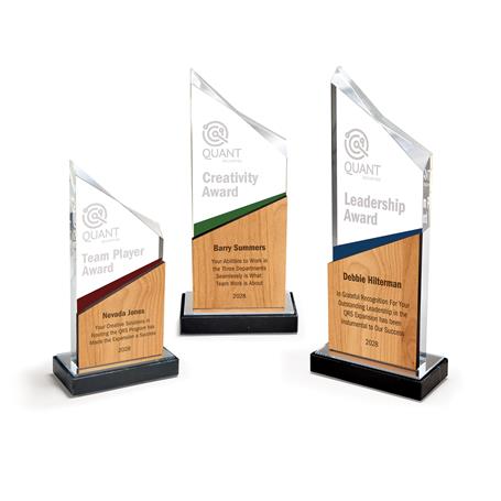 CD1285 - Abstract Cut Acrylic Award