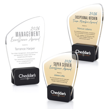 GI627 - Curved Glass Sandwiched between Black Glass Bases Award