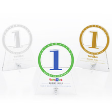 Anniversary Achievement Acrylic Award with Pin