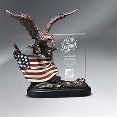 Bronze Antique Resin Cast Eagle with Flag and Beveled Glass