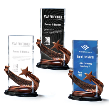 Bronze Brilliance Star Award with Ebony Background