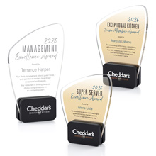 Curved Glass Sandwiched between Black Glass Bases Award