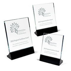 Premier Stand-Up Clear Glass Award on Black Base