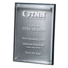Hi-Tech Lucite Riser Plaque with Wood Backing and Plate, Silver