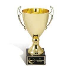 Metal Trophy Cup - Large, Gold