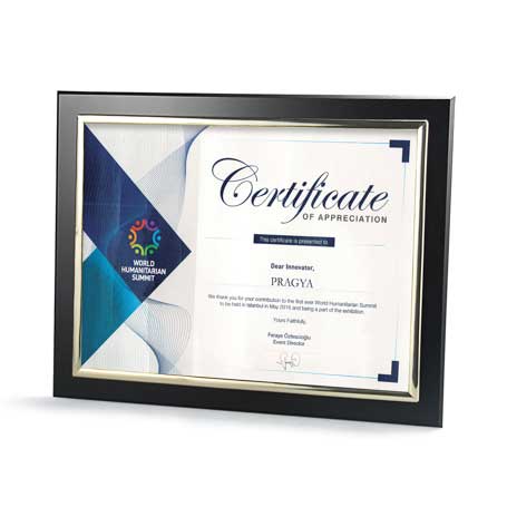 C4802* - Certificate Frame with Metallized Accent