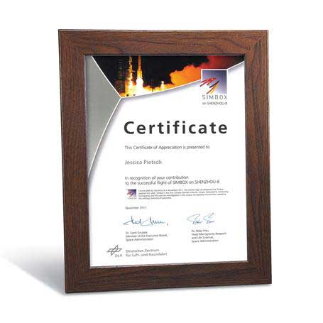 C4804 - Walnut Finish Certificate Frame