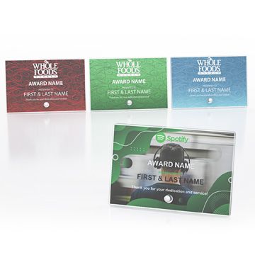 CD1369 - Rectangle Horizontal Acrylic Award with Pin Stand