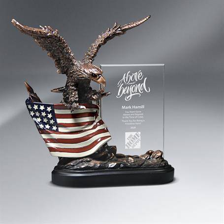 CD446 - Bronze Antique Resin Cast Eagle with Flag and Beveled Glass