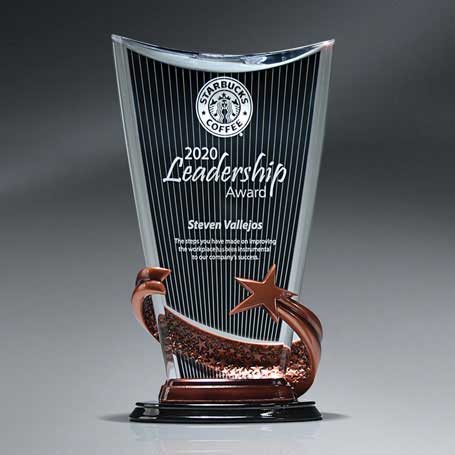 CD829 - Bronze Brilliance Star Arch Award with Ebony Background