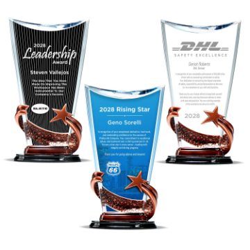 CD829 - Bronze Brilliance Star Arch Award with Ebony Background