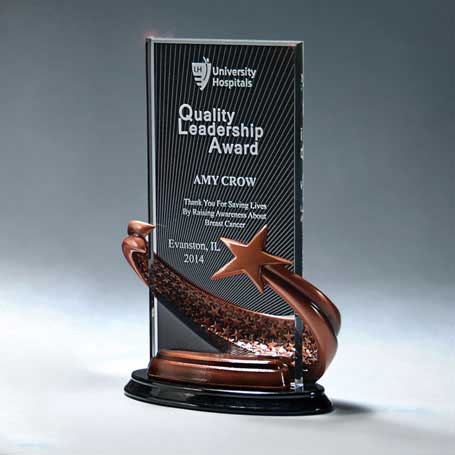 CD830 - Bronze Brilliance Star Award with Ebony Background