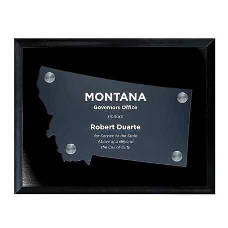 CD953MT - Frosted Acrylic State Cutout on Black Plaque
