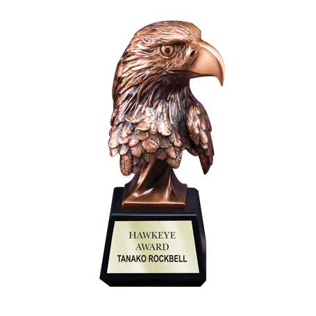 CM224C - Bronze Antique Resin Eagle Head - Large