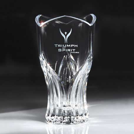 Pacesetter Awards Crystal Lucite And Casting Innovations