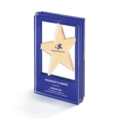 Suspended Star Acrylic Award