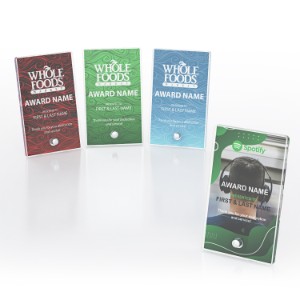 Rectangle Vertical Acrylic Award with Pin Stand