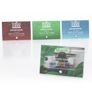 Rectangle Horizontal Acrylic Award with Pin Stand