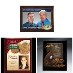 Digi Color Direct And Mahogany Plaque