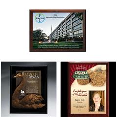 Digi Color Direct and Mahogany Plaque