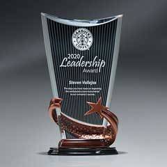 Bronze Brilliance Star Arch Award with Ebony Background